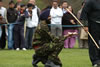 Vaisakhi mela 2008